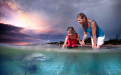 dolphin feeding at dusk, Tangalooma resort