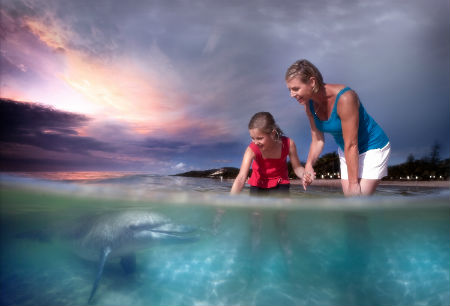 dolphin feeding at dusk, Tangalooma resort