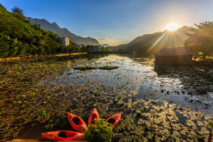 TMG MCL Lotus pond