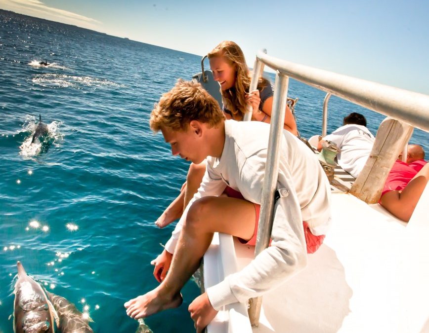 Bay Explorer launches new half-day tour showcasing marine life