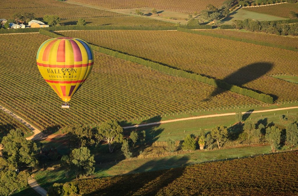 Fly high over the Barossa Shiraz Estate